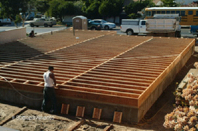 foundation